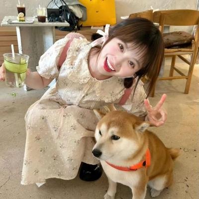 疯狂的狮王
